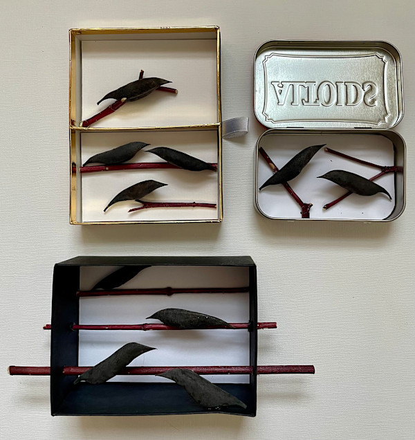 Pocket Crows by Ann Jones-Weinstock, Image 1.