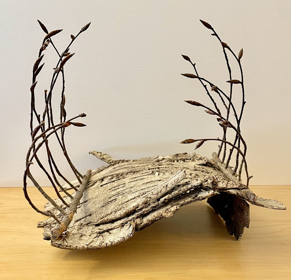 Sanctuary Woods by Ann Jones-Weinstock, Image 1.