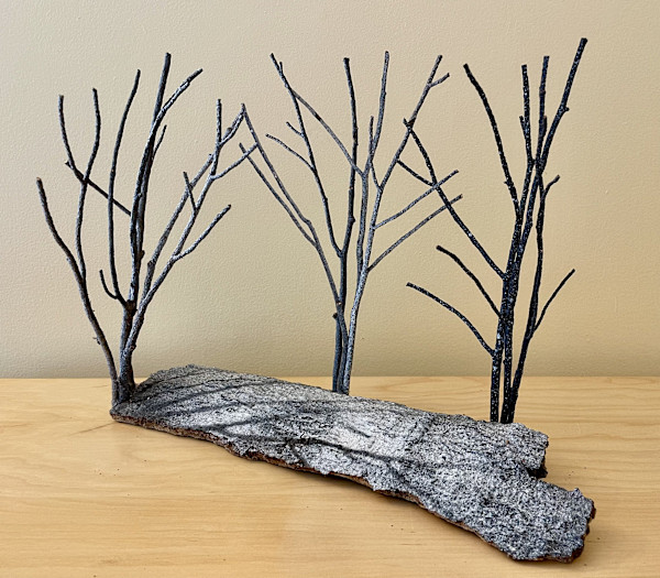 Winter Shadows by Ann Jones-Weinstock, Image 1.