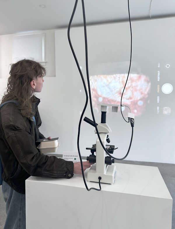 X marks the PAPERS PLEASE by Valeria Espinal