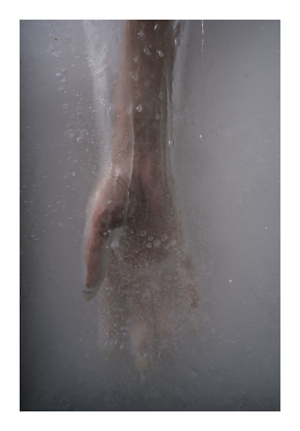 Suspended Animation by Alex Branch