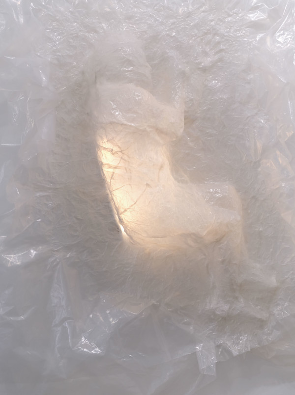 Chrysalis Husk Fig.1 by Pablo Cazares