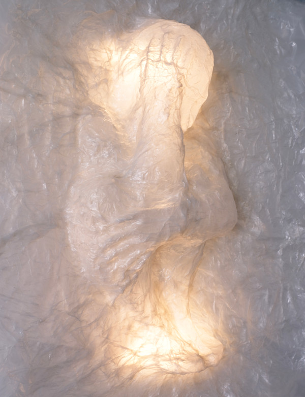 Chrysalis Husk Fig. 2 by Pablo Cazares