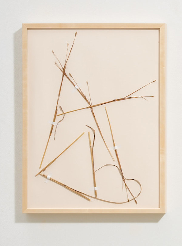 Drawing of a Die-back 1 by Caite Mae Ramos, Image 1.