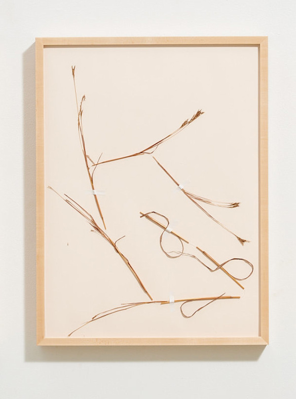 Drawing of a Die-back 2 by Caite Mae Ramos, Image 1.