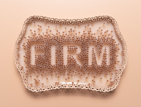 Augmented Reality (FIRM) by Holly Ballard Martz