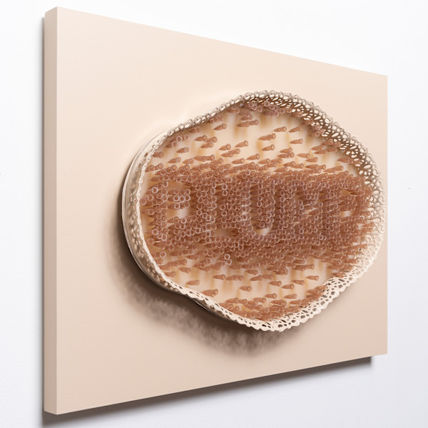 Augmented Reality (PLUMP) by Holly Ballard Martz