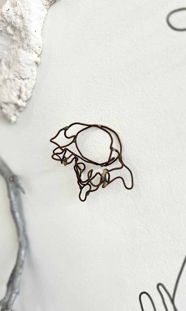 Vertebrae by Mary Coss