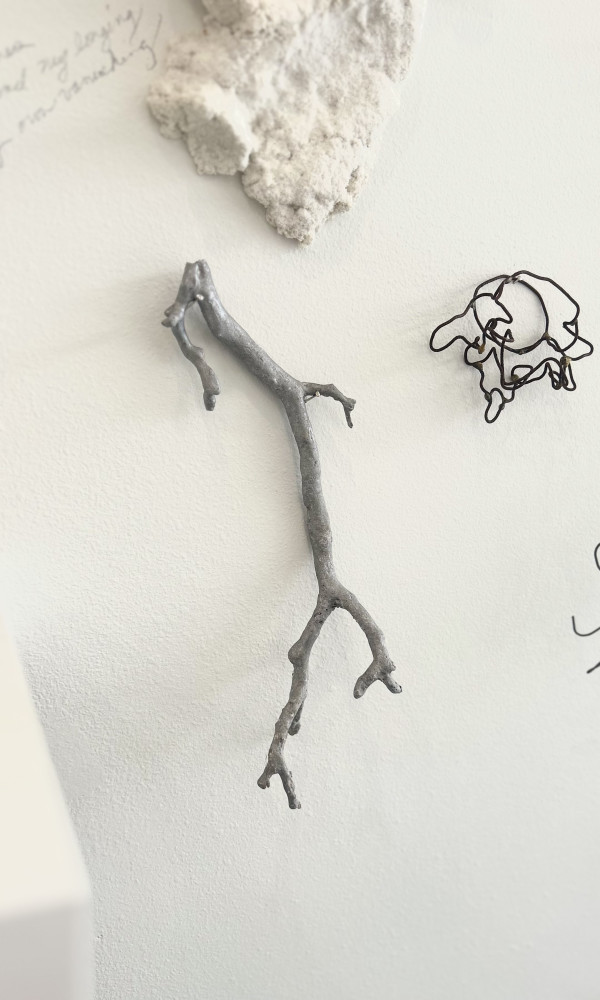 Limb by Mary Coss