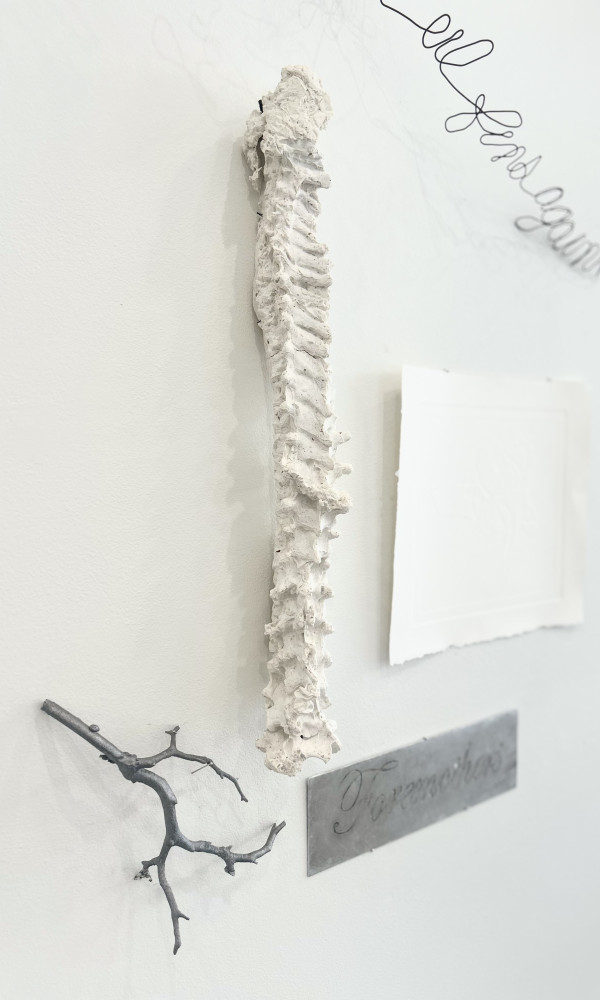 Column by Mary Coss