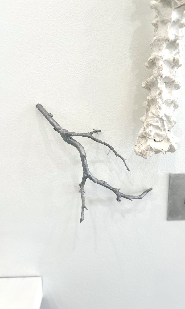 Limb by Mary Coss