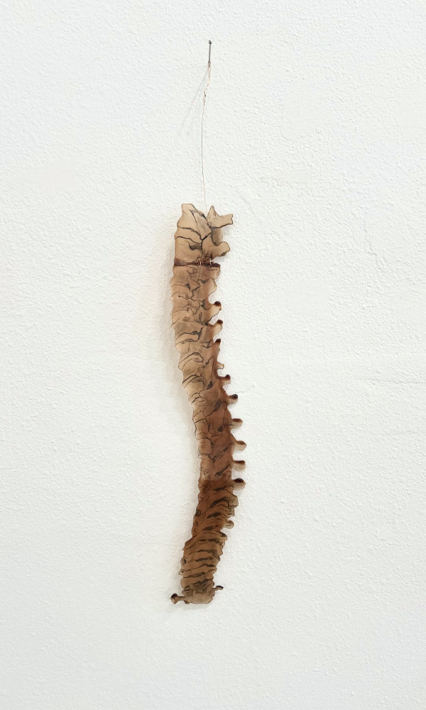 Spine by Mary Coss