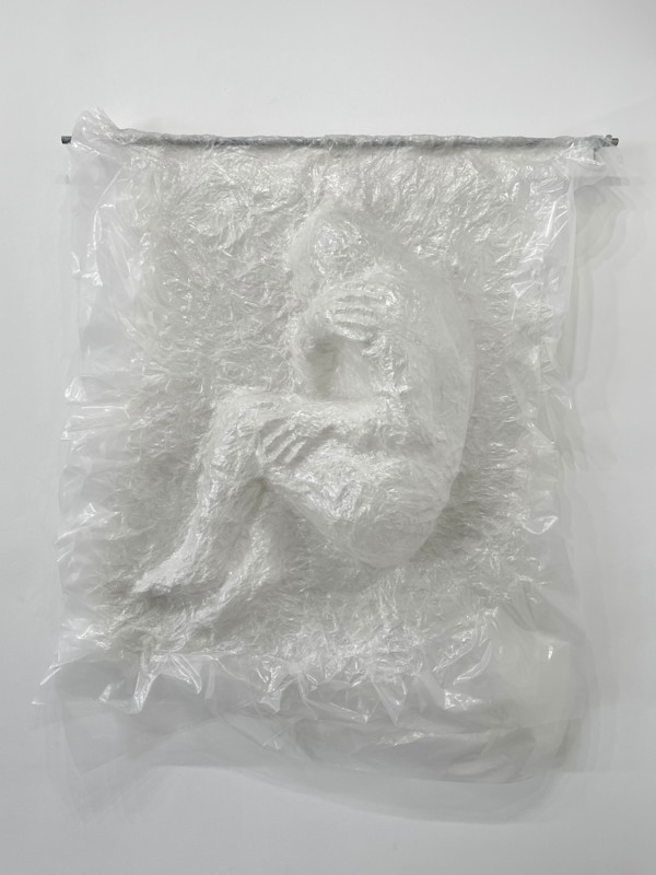 Chrysalis Husk Fig. 3 by Pablo Cazares