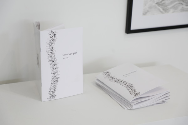 Core Samples zine by Mary Coss