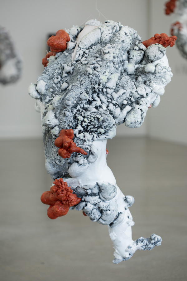 The Swelling No. 2 by Lauren Ruiz