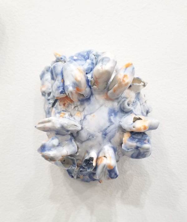Tunicate Test by Kate Rusek