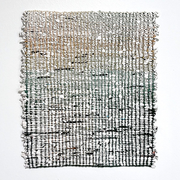 There was no plan for this/ An utterly new landscape