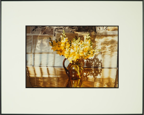 Snapdragons by Beverly Hallam