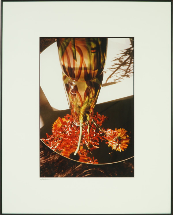Under Firecracker Flowers by Beverly Hallam