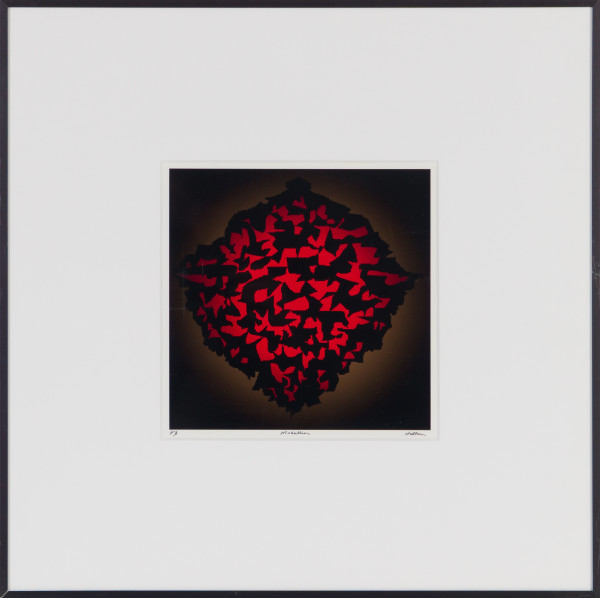 Medallion by Beverly Hallam