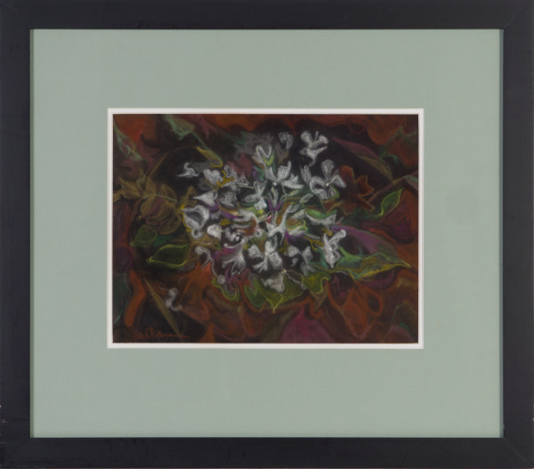 Mountain Snow (Geranium) by Beverly Hallam