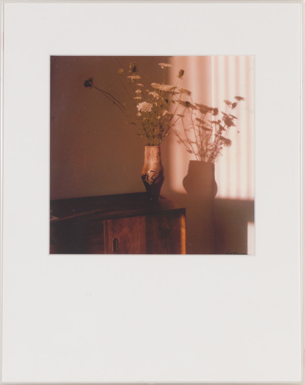 Queen Anne’s Lace in John Natále’s Raku (Photograph) by Beverly Hallam