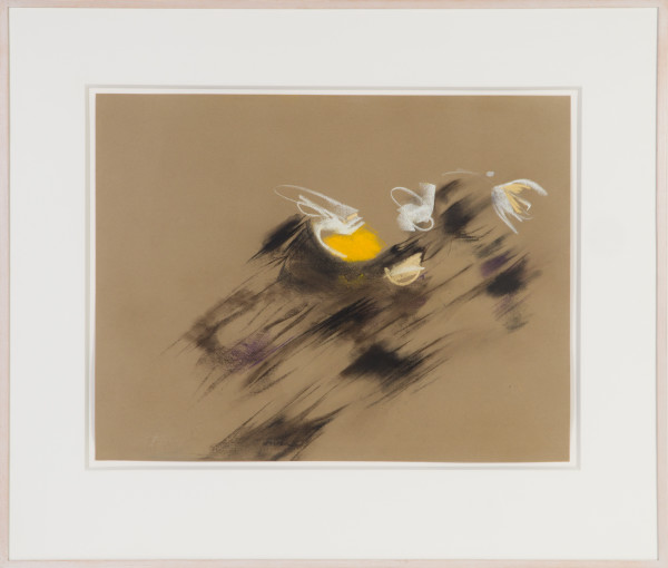 Daisy Yolk With Moving Shadow by Beverly Hallam