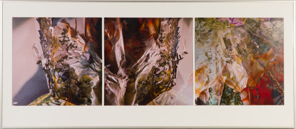 Title Unknown by Beverly Hallam