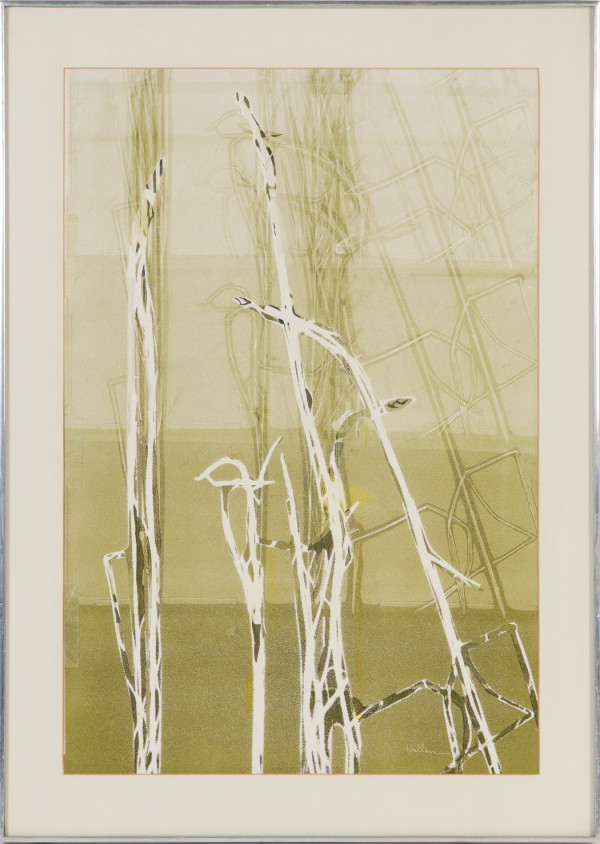 Wild Knoll Grass by Beverly Hallam