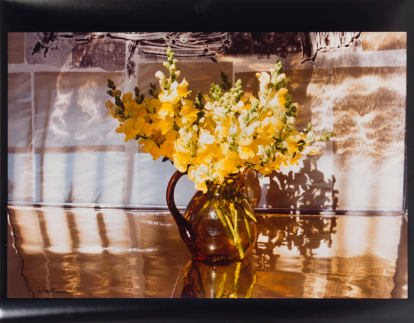 Snapdragons by Beverly Hallam