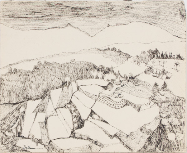 Terraces at Pibonson, North of Cannes, France by Beverly Hallam