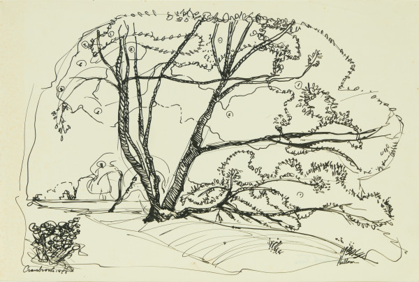 Cranbrook Tree by Beverly Hallam