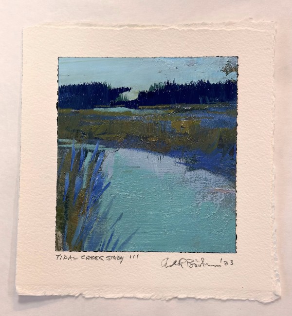 Tidal Creek Study III by andy braitman
