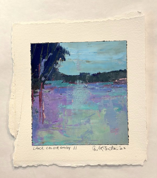 Lake Color Study II by andy braitman