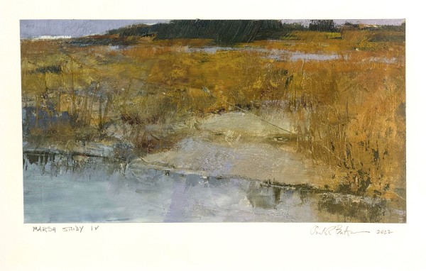Marsh Study IV by andy braitman