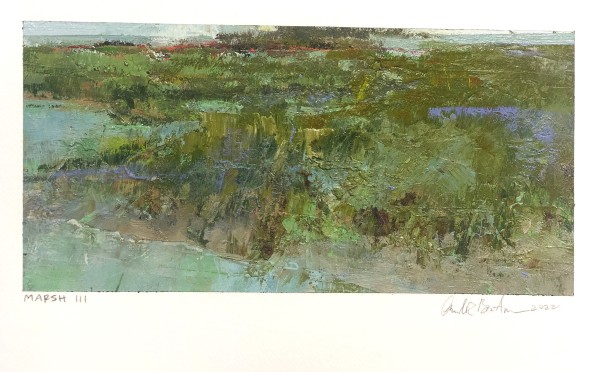 Marsh III by andy braitman