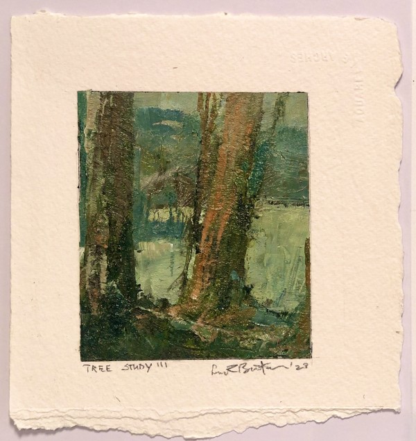 Tree Study III by andy braitman