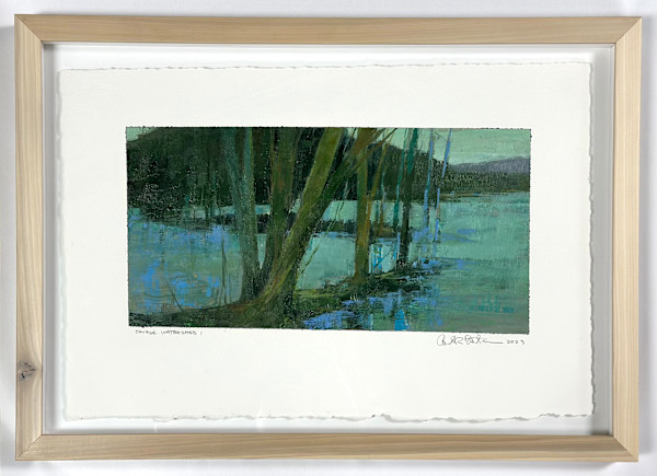 Savage Watershed I by andy braitman, Image 8.