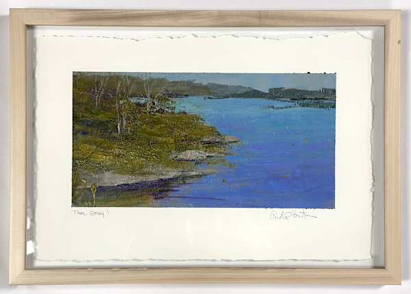 Tidal Study I by andy braitman, Image 3.