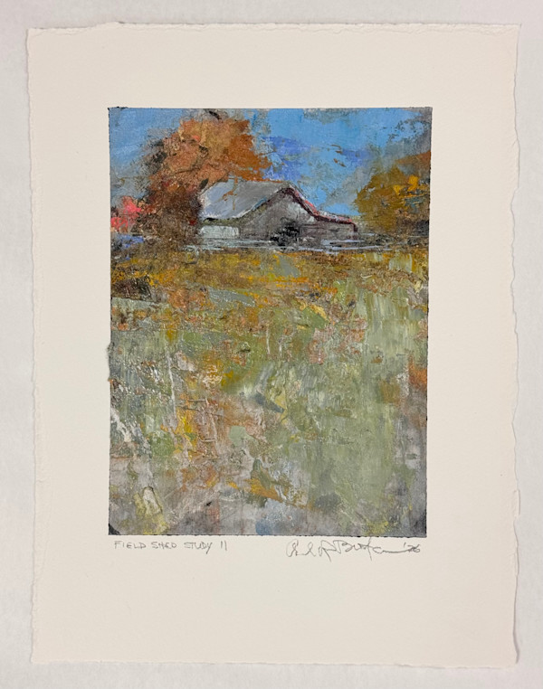 field shed study II by andy braitman, Image 9.