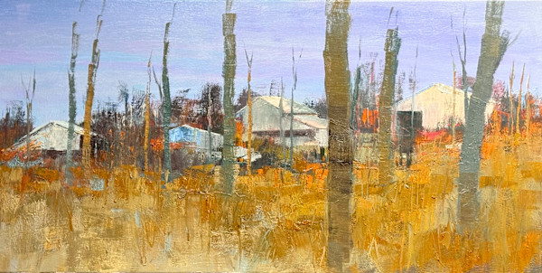 Piedmont I by andy braitman, Image 4.