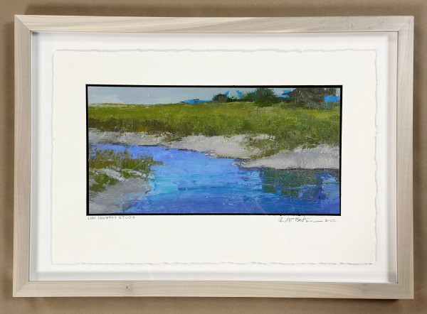 Low Country Study by andy braitman