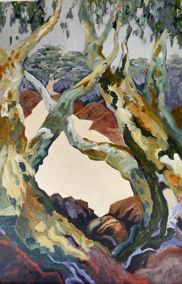 Paroo Rive before the rain by Suellen Tomkins