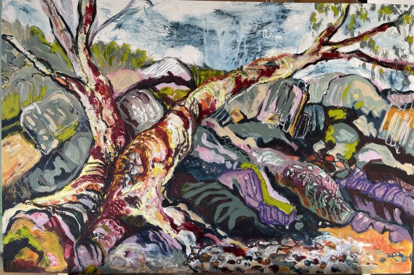 A tangle of rocks and trees by Suellen Tomkins