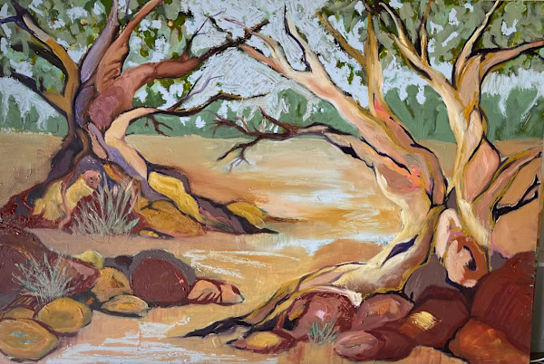 Paroo River - Eulo (unframed) by Suellen Tomkins