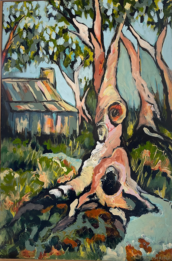 The Shed (framed) by Suellen Tomkins
