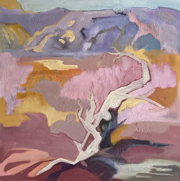 Towards the Mesa - Kanku-Breakaways Conservation Park by Suellen Tomkins