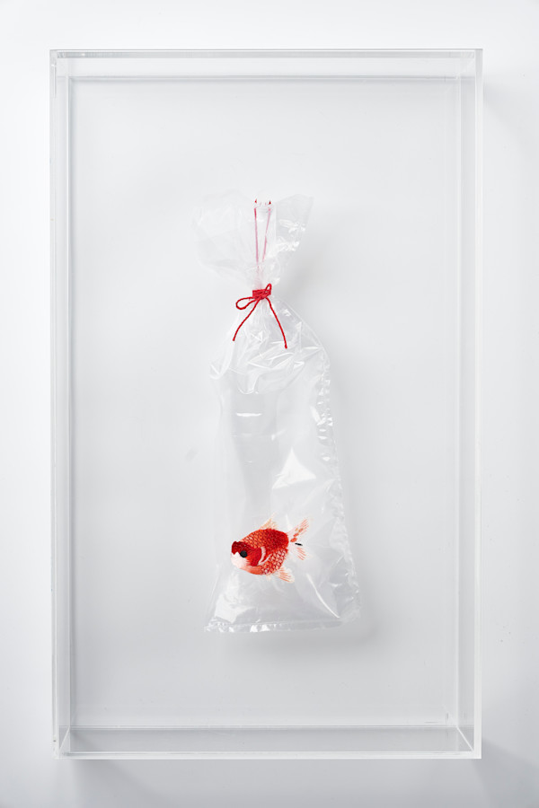 Hong Kong Goldfish Street Red (Embroidery on Plastic Bag series) by Angel Hui