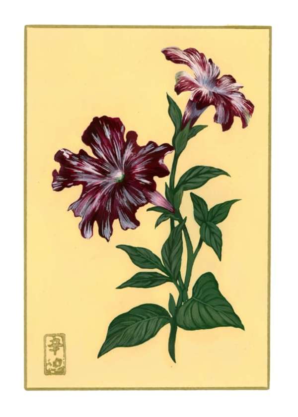 Fiori 366 by Cindy Cal