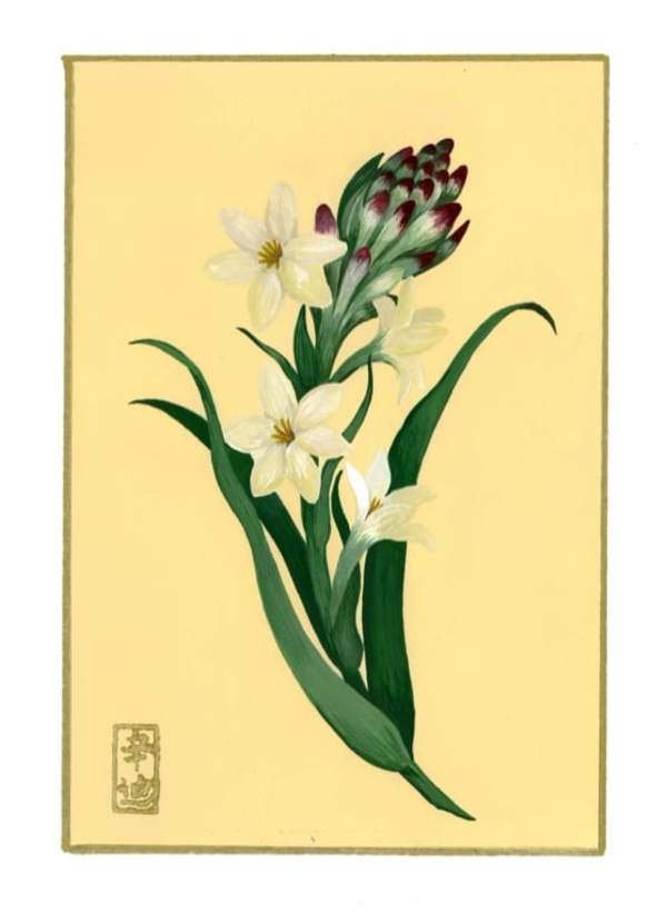 2nd of September “Tuberose” by Cindy Cal